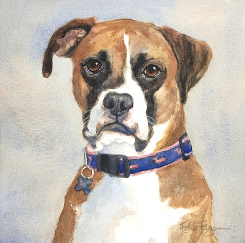 watercolor painting by Edie Fagan of Boxer.  dog portrait, dog painting
