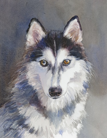 Edie Fagan Adored Dogs watercolor painting of dog watercolor painting of Siberian husky dog