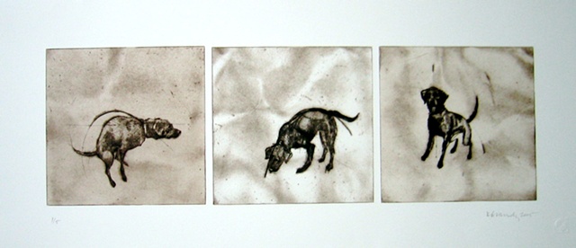 Kitty Blandy Three plate drypoint of a dog