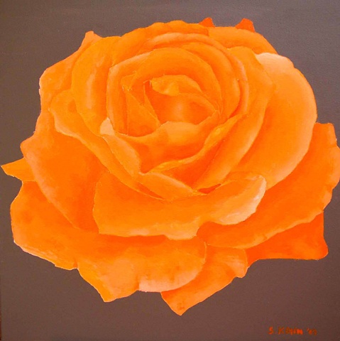 Orange Rose on Taupe