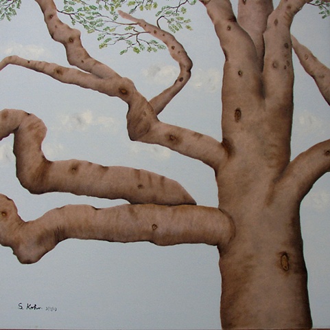 Ficus Tree No. 2