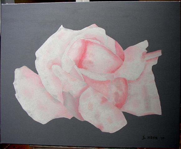 Pink Rose on Gray