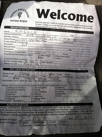 12. intake form for my cousin’s dog Petey at the vet, from under the driver’s seat