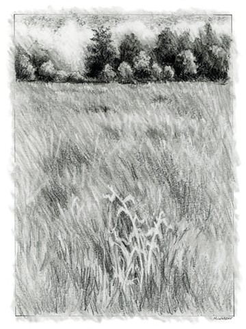 drawing, landscape, Marion Webber, BC, original art