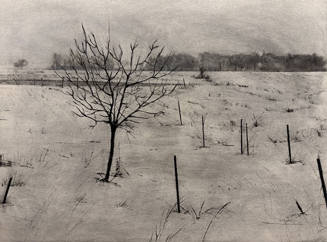 Winter Rest