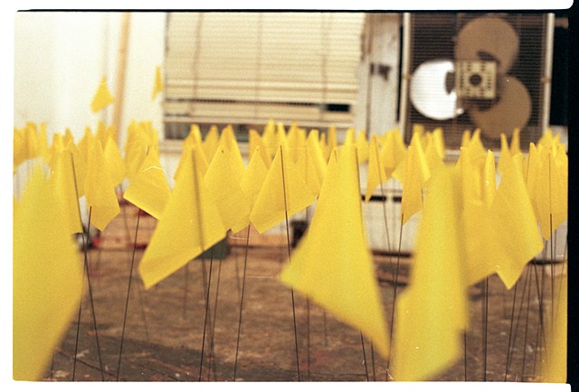 Yellow Flag (series)