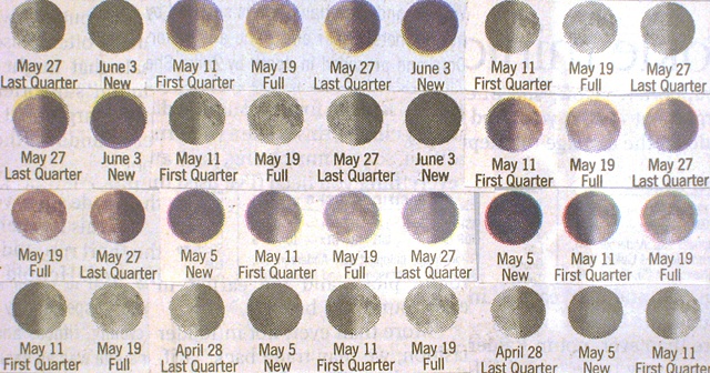 Detail of Lunar Year