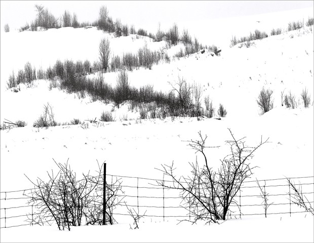Bognor Hills in Winter

Jan 2014