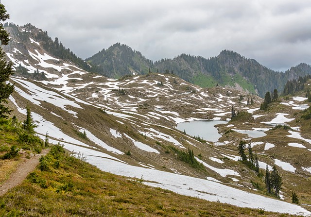 Snow Patterns in the Basin

June 2019