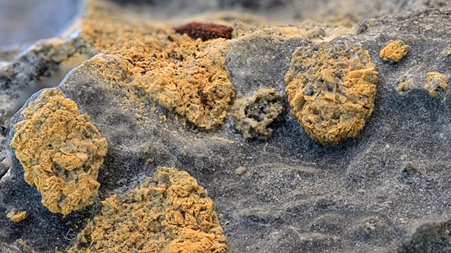 What Looks Like Sand Stone in a Local Rock