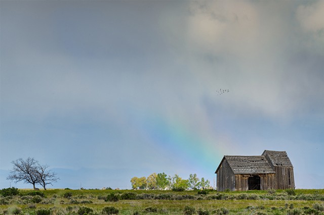 Nevada Rainbow