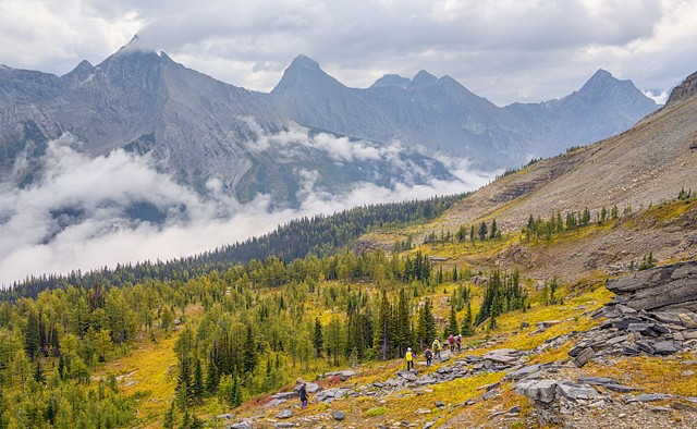 The B-Team Skirts the Forest Below
