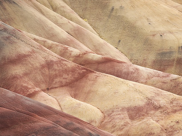 Painted Hills Detail

Aug 2017