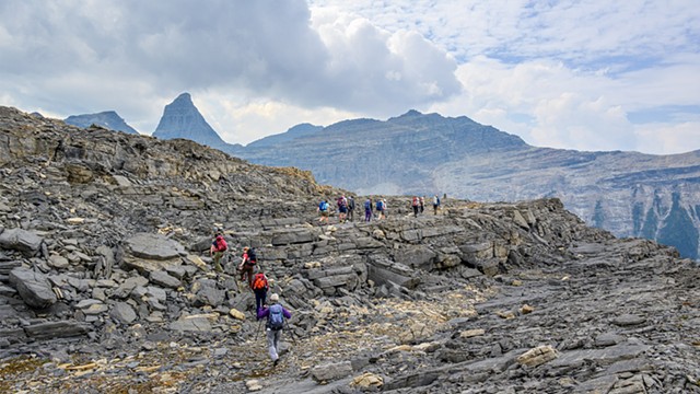 Up Top on the Plateau with Blocky Karst Underfoot