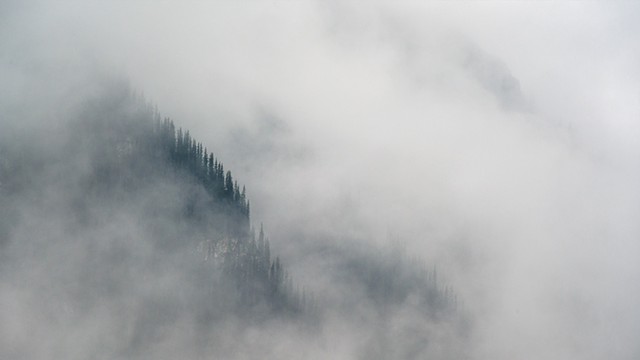 Looking Down into the Edge of the Mist
