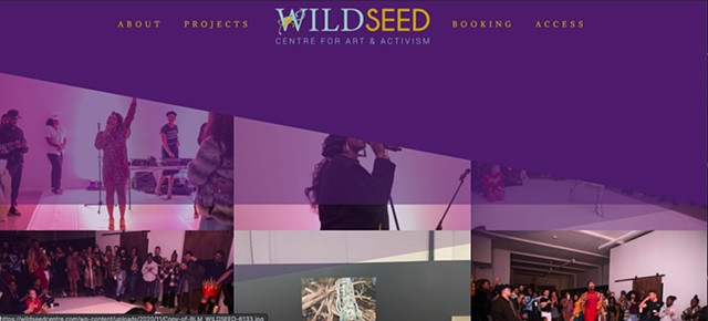 2020 to 2021 Wildseed Black Arts Fellowship Continued Engagement member