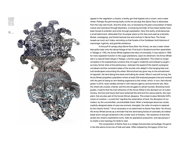 Of Face and Forest: Tricky Textures in the Work of Anna Jane McIntyre by Christina León  VLOSA catalogue VLOSA Catalogue p3
