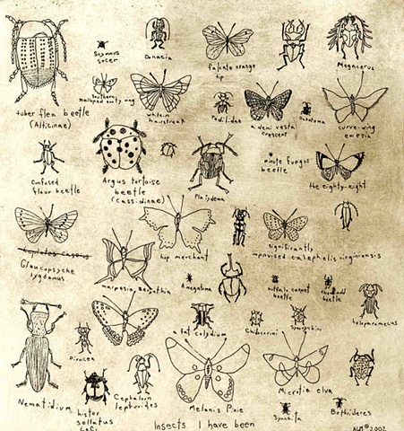 Insects I have been
Etching