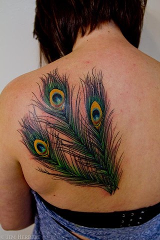 Peacock Feather Tattoo by Jay Carter, 8th Day Tattoo, Jacksonville, Florida USA