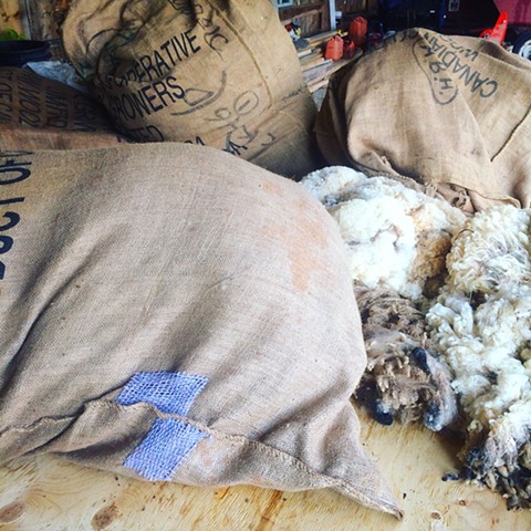 Mended wool growers bag