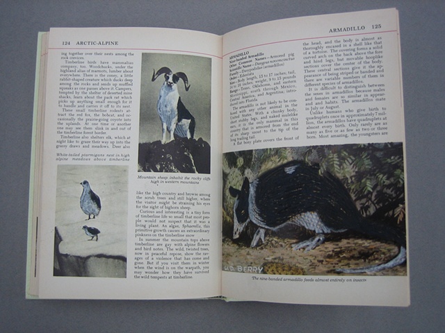 The Otis Nature Encyclopedia Volume 1 (Detail)