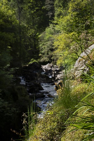 Waterfall at the Hermitage, Dunkeld, Perthshire