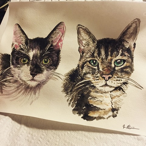 8" x 10"  Two Cats