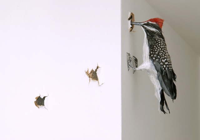 Woodpecker detail