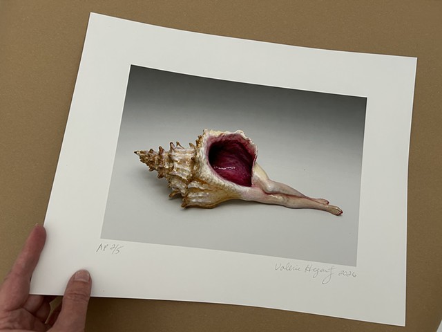 Print of Reclining Shell #1