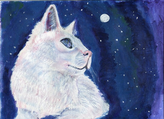 A white cat stares at the moon and the stars in a navy night