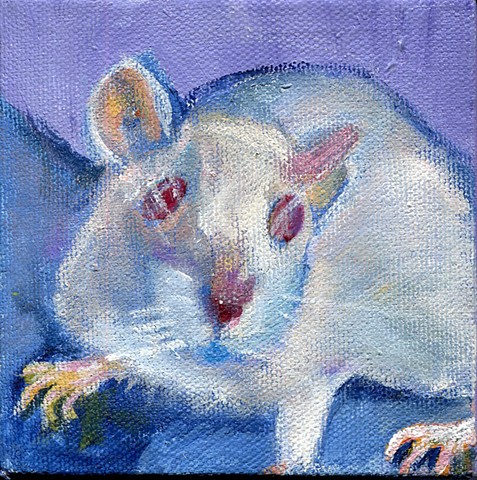 Izzy Bee the Rat
