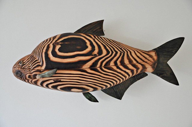 bream wall fish