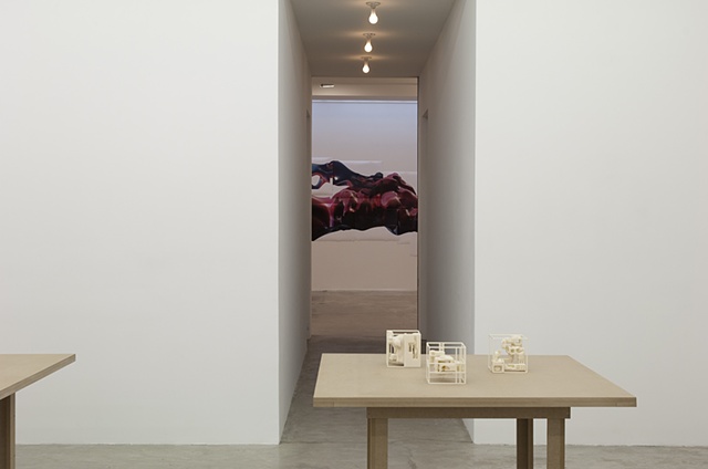 Installation View (Space Frame Redux)