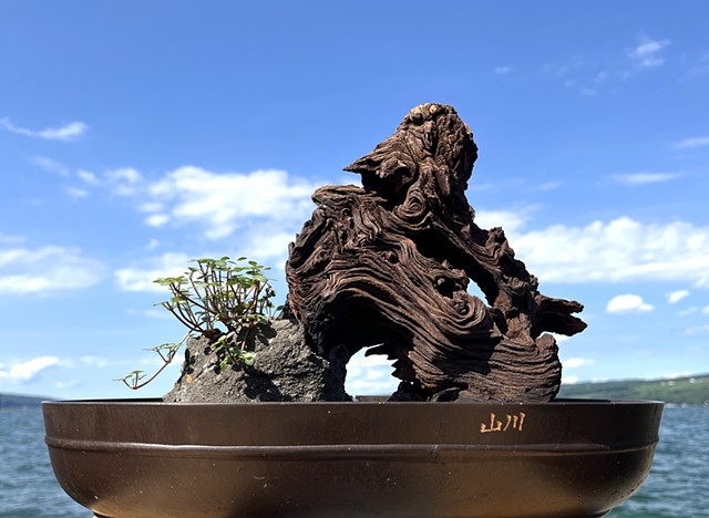 This is a tabletop zen fountain. Water bubbles up from the base of a gnarled piece of Mopani wood resembling an animal standing atop a stone. Next to the wood is a climbing tropical plant.