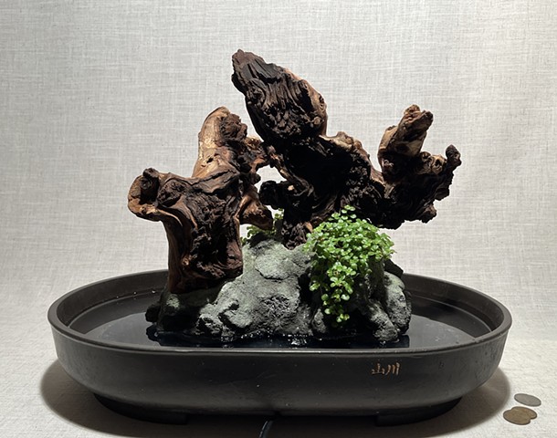 Totems: Dogs at Play