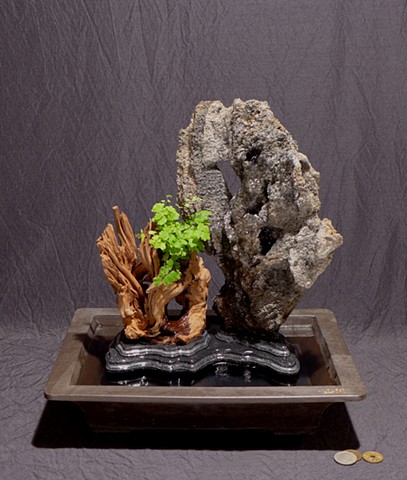 feather rock gongshi fountain with Malaysian driftwood, maidenhair fern, and Corian daiza