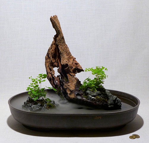 Indoor zen fountain with fogger, Malaysian driftwood, feather rock, and maidenhair ferns 