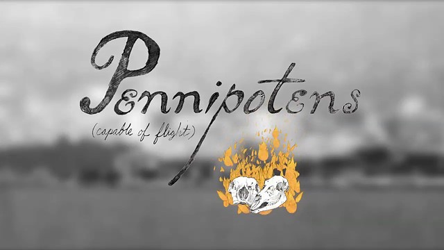 Pennipotens - Full Video - 2011