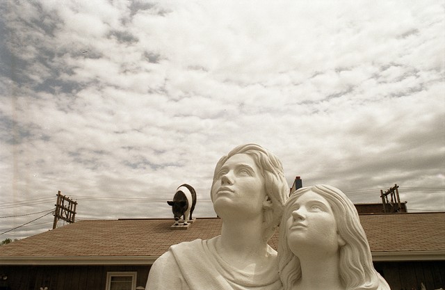 Photograph of a concrete lawn statue couple looking into the sky with a pig on the roof behind them photographed in South Dakota by Lucy Mueller