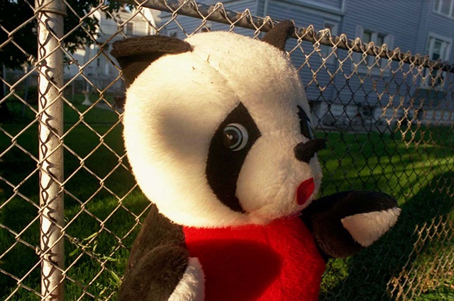 Stuffed panda is propped by a chain link fence and looks apprehensive photographed by Lucy Mueller