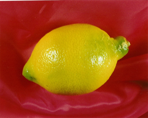 "Sense of Herself" (Lemon)
1 out of over 750 different images
1995-present
