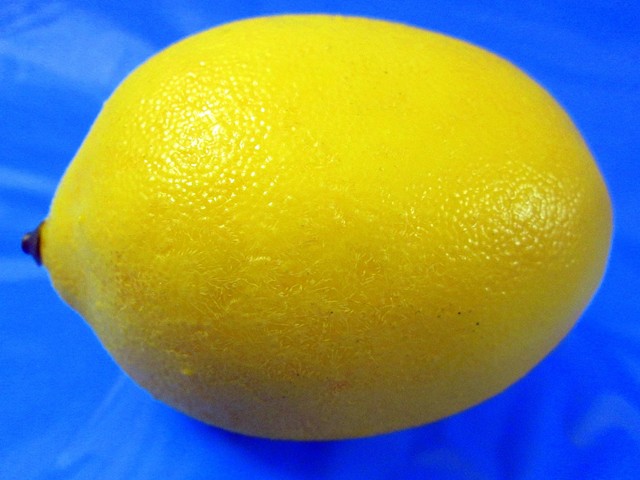 Sense of Herself (Lemon)
1 out of over 750 different images
1995-present