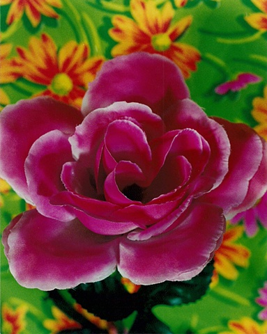 "Sense of Herself" (Fake Rose)
1 out of over 750 different images
1995-present