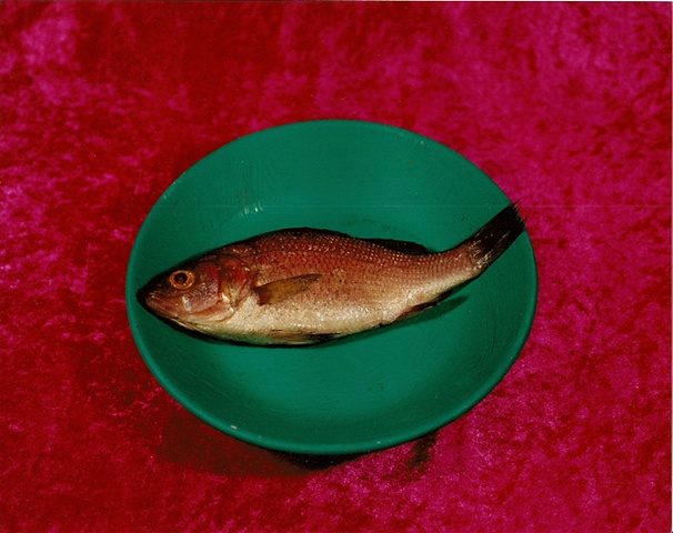 "Sense of Herself" (Fish)
1 out of over 750 different images
1995-present