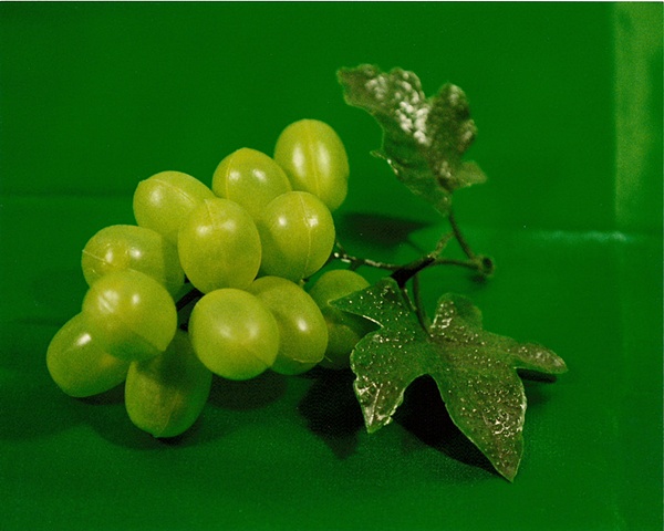 "Sense of Herself" (Plastic Grapes)
1 out of over 750 different images
1995-present