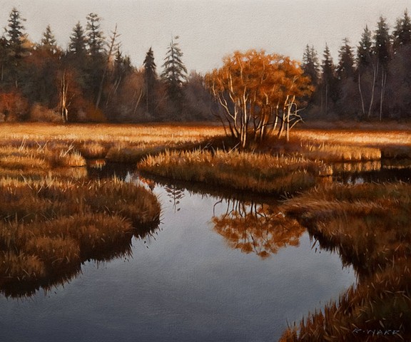 Autumn Oaks on the Marsh