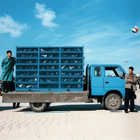 Caged Pigeons, Changchun, China 2003