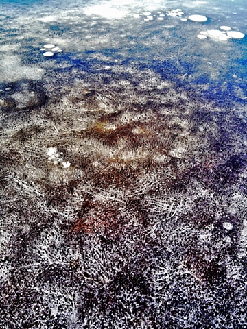 Frozen Fish Pond, #3