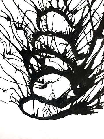 Black and white organic abstract ink on paper flow abstract expressionism tendrils 