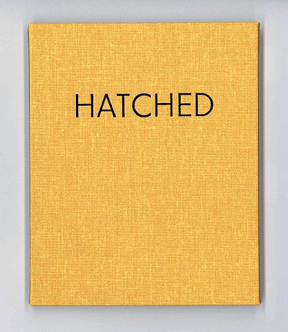 Hatched artist book